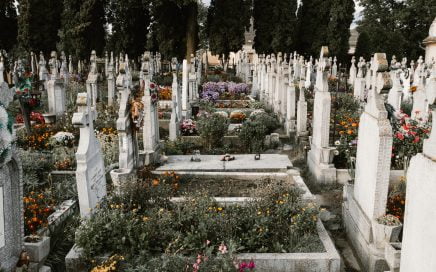 Photo by Anton Darius | Sollers on Unsplash