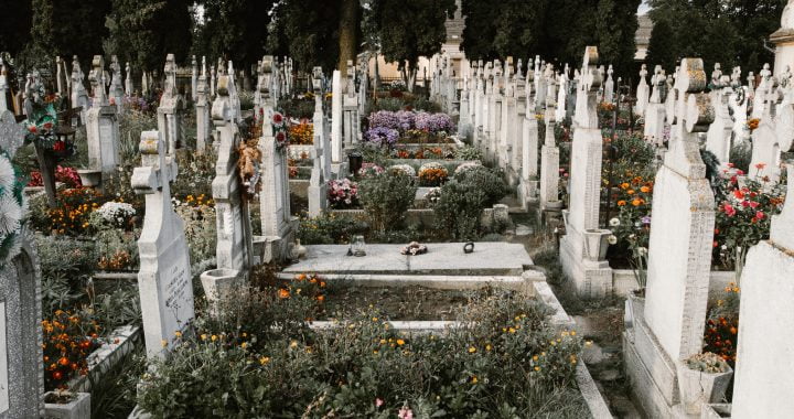 Photo by Anton Darius | Sollers on Unsplash